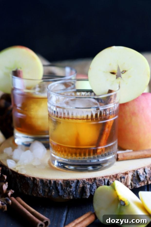 Apple Pie Old Fashioned Cocktail 7 A finished Apple Pie Old Fashioned Cocktail with garnishes