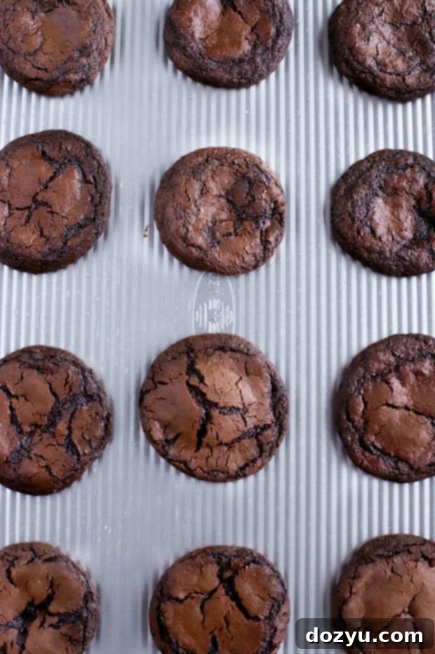 Festive Peppermint Hot Chocolate Cookies arranged on a plate