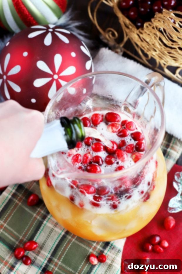 Close-up of Spiced Tropical Holiday Champagne Punch