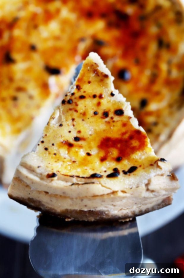 Close-up of the brûléed topping on the Eggnog Cheesecake