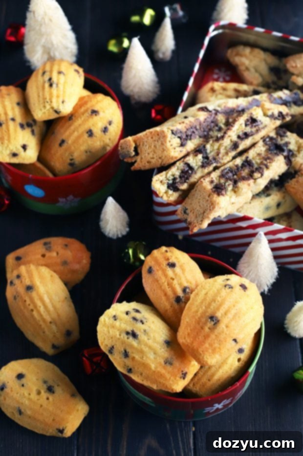 My Go-To Duo for Perfect Cookies 2 My Two Favorite Base Cookie Recipes Madeleines And Biscotti
