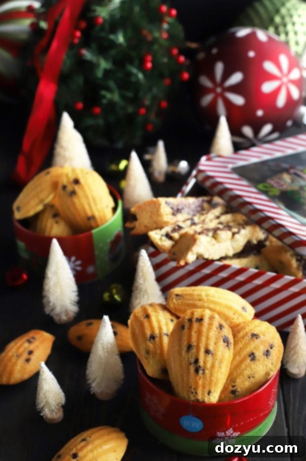 My Go-To Duo for Perfect Cookies 12 My Two Favorite Base Cookie Recipes Madeleine and Biscotti