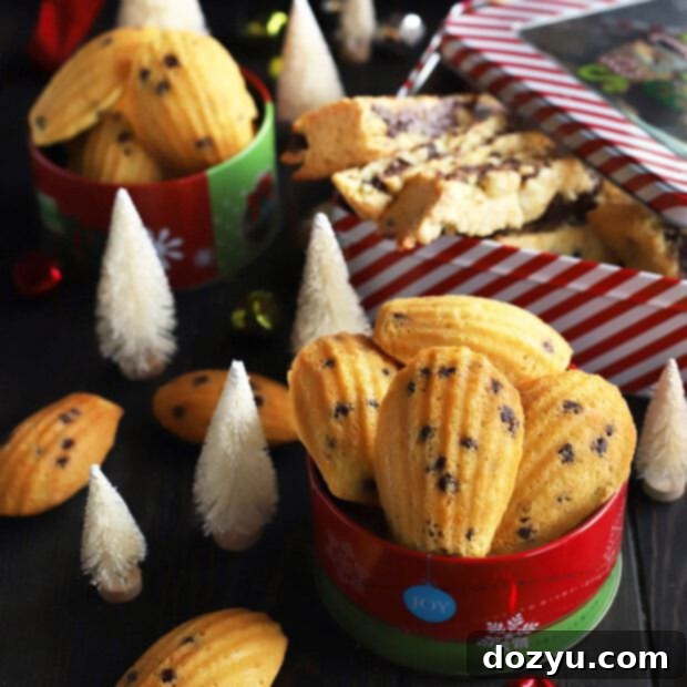 My Go-To Duo for Perfect Cookies 15 My Two Favorite Base Cookie Recipes Madeleine and Biscotti