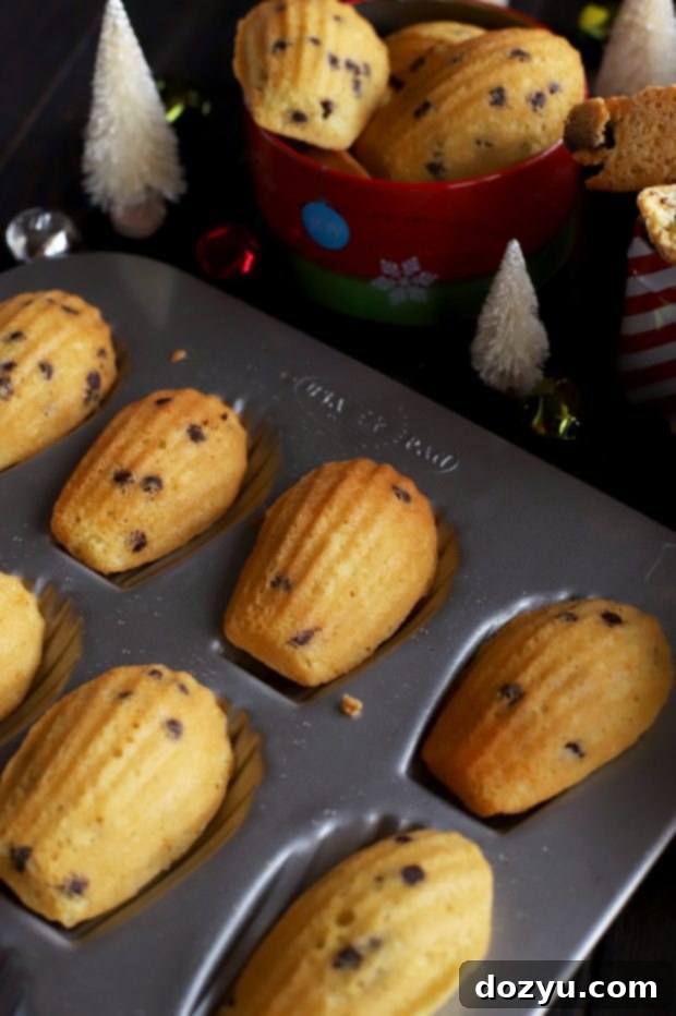 My Go-To Duo for Perfect Cookies 8 My Two Favorite Base Cookie Recipes Madeleine and Biscotti