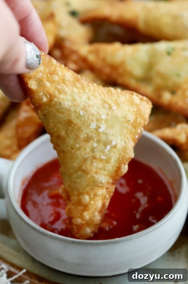 Guacamole Wontons with salsa in a bowl