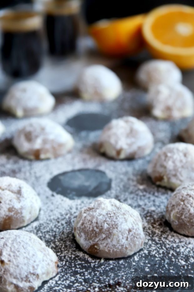 A close-up of a single Mocha Orange Mexican Wedding Cookie, perfectly coated in powdered sugar.