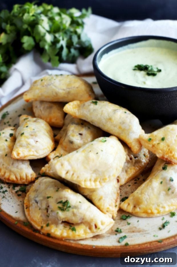 Butternut Squash Goat Cheese Empanadas with Avocado Dipping Sauce