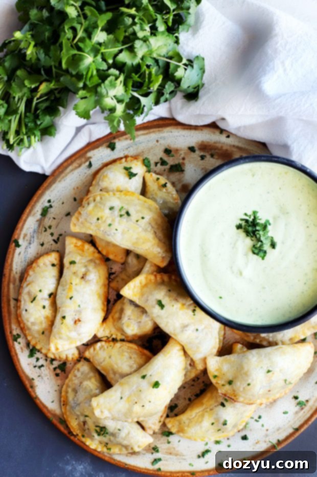 Butternut Squash Goat Cheese Empanadas with Avocado Dipping Sauce