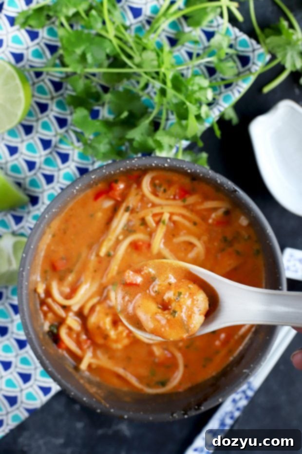 Thai Shrimp Noodle Soup