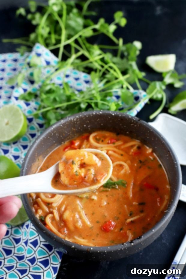 Thai Shrimp Noodle Soup