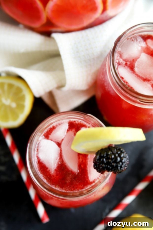Top-down view of mason jars filled with sparkling blackberry vodka lemonade, garnished with fresh fruit and lemon slices