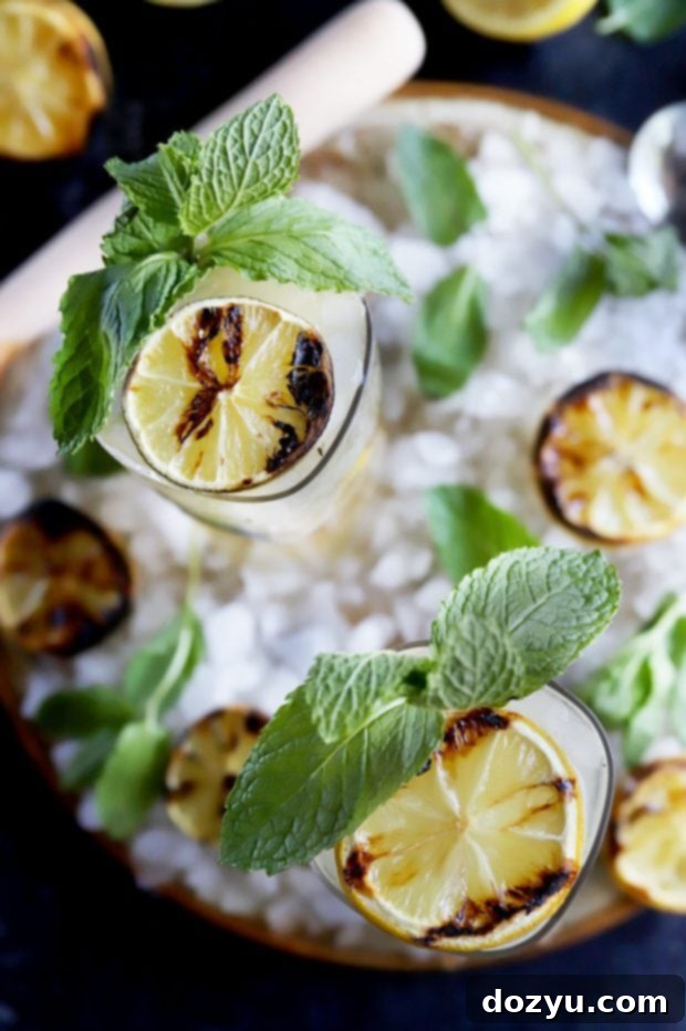 Smoky Citrus Mojito 8 The perfect summer cocktail, a grilled lemon lime mojito, garnished and ready to be enjoyed.