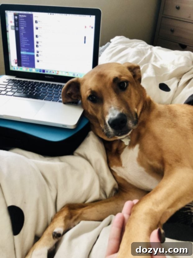 Kya trying to make me stop working