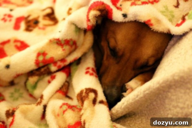 Kya snuggled in her blanket