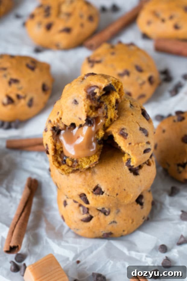 Gooey Caramel Pumpkin Cookies 4 Overhead shot of caramel pumpkin cookies with mini chocolate chips