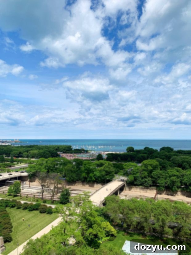 Scenic view of Lake Michigan and Chicago's skyline from a conference venue, showcasing the city's urban beauty.