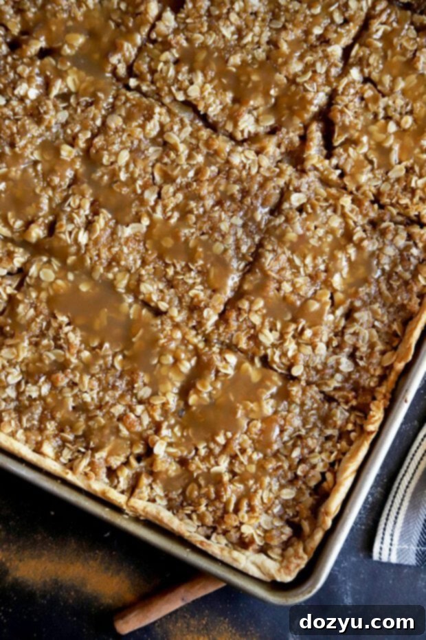 Caramel apple pie in the pan overhead photo