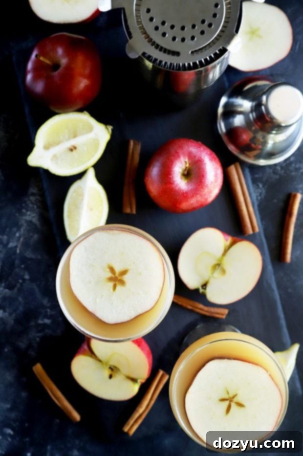 Overhead shot of two Apple Whiskey Sidecar cocktails, garnished with apple slices, on a wooden surface, ready to be enjoyed.