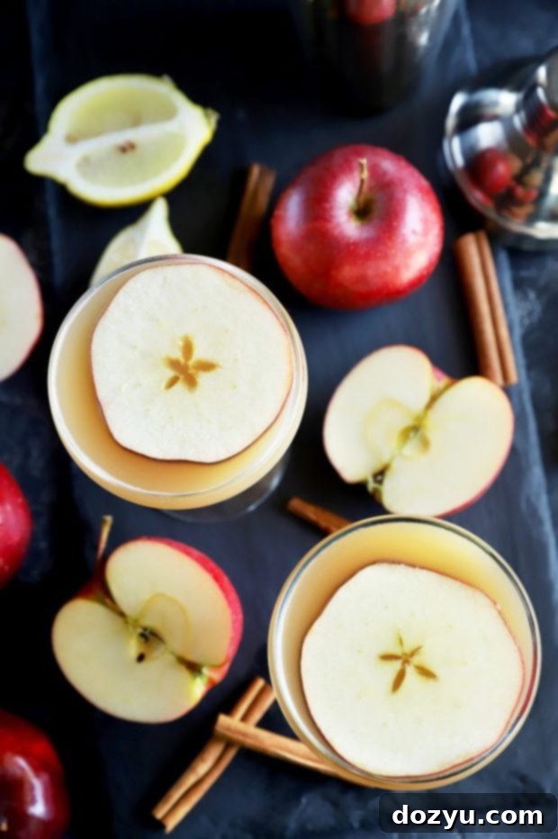 Two Apple Whiskey Sidecar cocktails in coupe glasses, adorned with apple slices, positioned for a cozy, autumnal photoshoot.