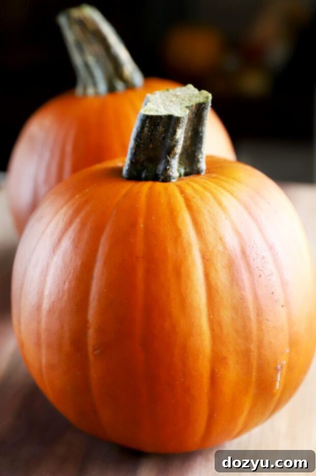 Photo of two pie pumpkins on a wooden surface