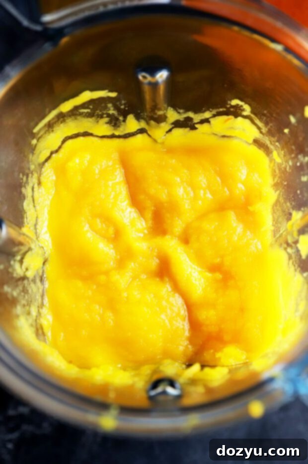 Pumpkin being processed in a Vitamix blender
