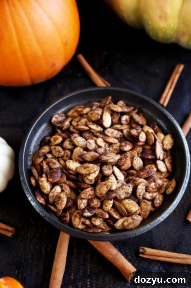 Close-up overhead shot of roasted spiced pumpkin seeds in a rustic bowl, showcasing their golden-brown color and texture.