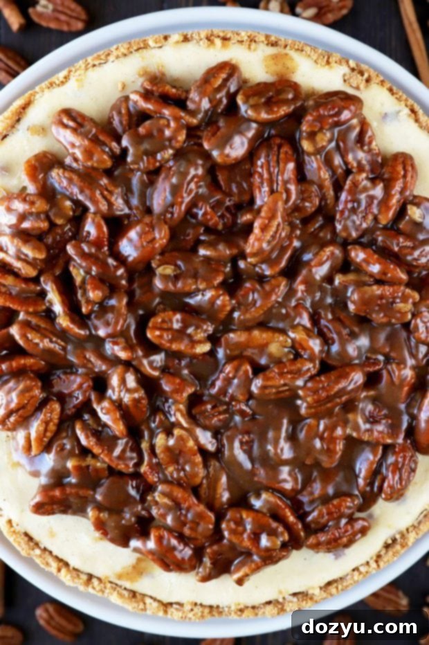 Thanksgiving cheesecake with pecans, a perfect fall dessert for holidays.