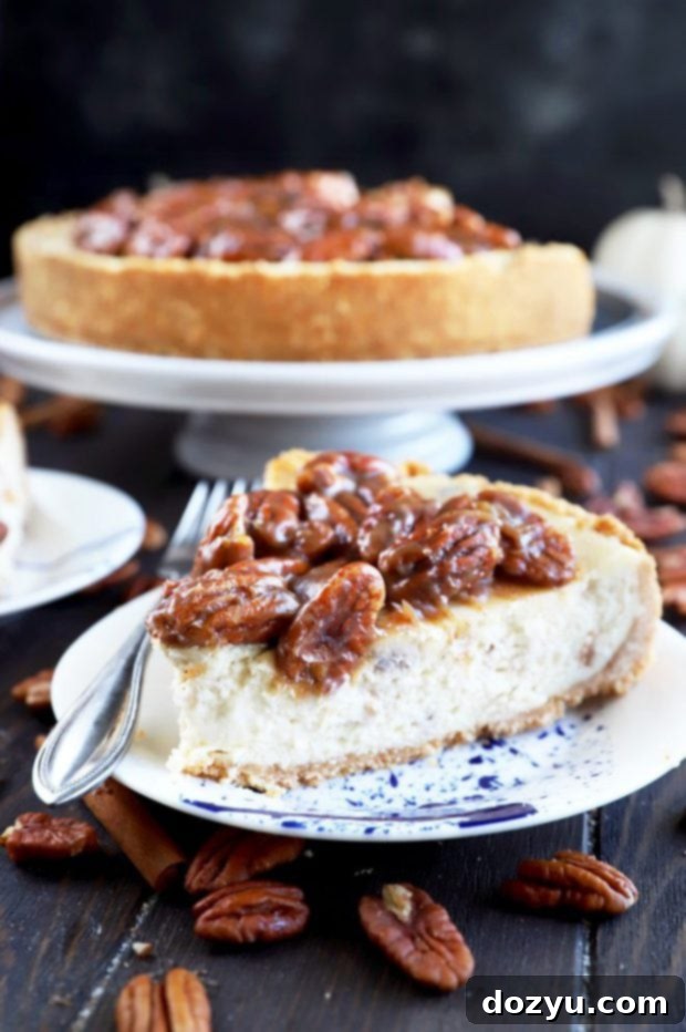 Close-up photo of a slice of Pecan Pie Cheesecake on a plate.