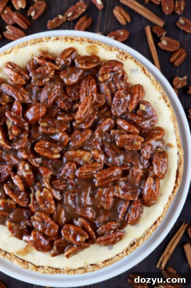 Decadent Pecan Pie Cheesecake 9 A whole Pecan Pie Cheesecake with a generous pecan topping, ready to be served.