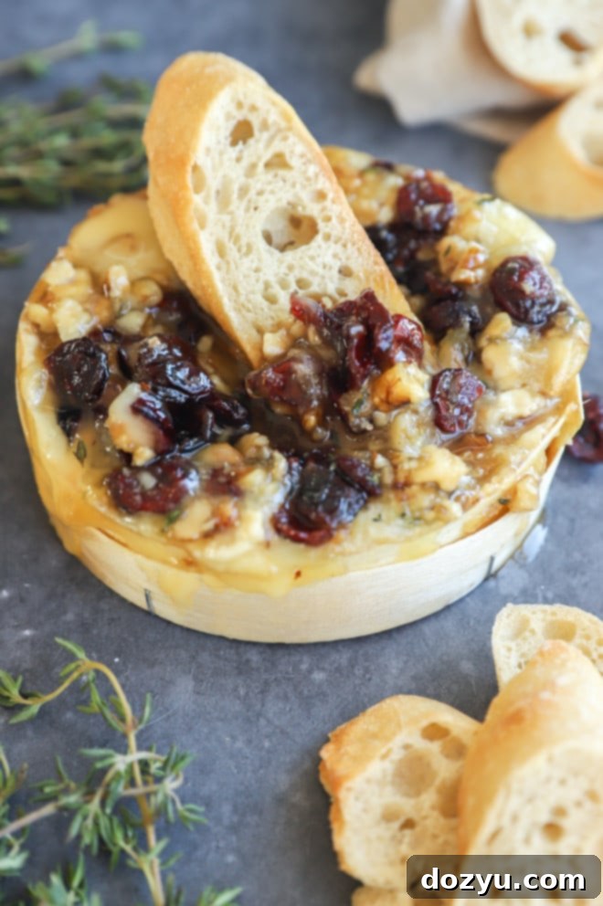 Easy baked camembert with piece of toasted piece of bread stuck in the middle, ready to be served
