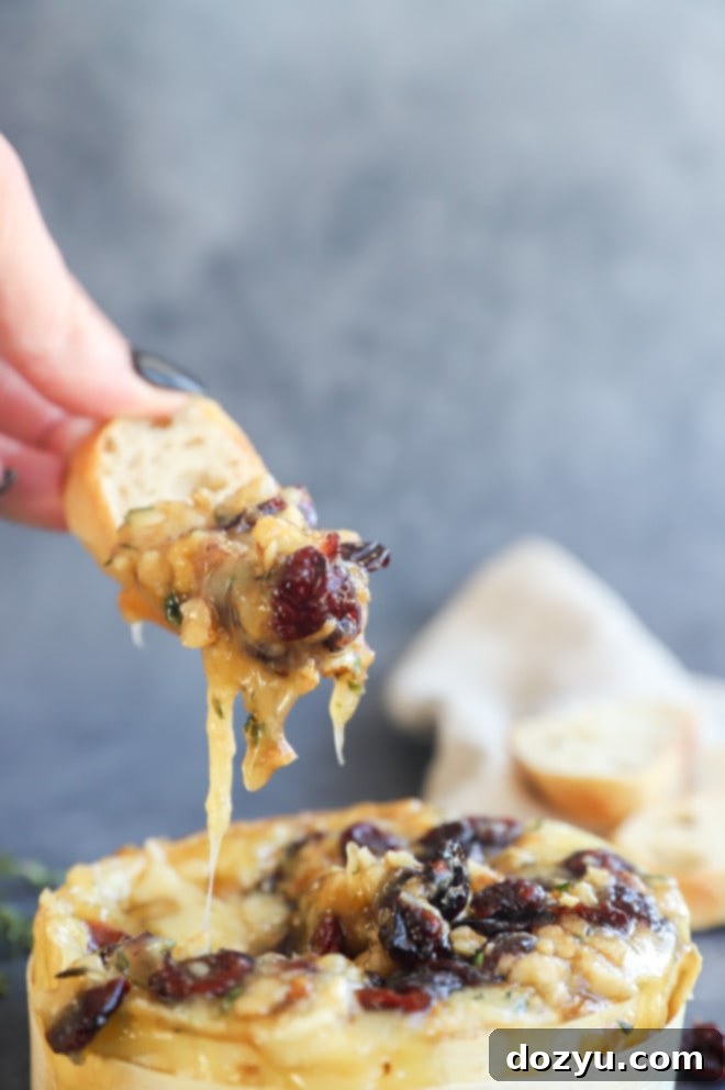 Hand lifting out toasted slice of bread with gooey baked camembert