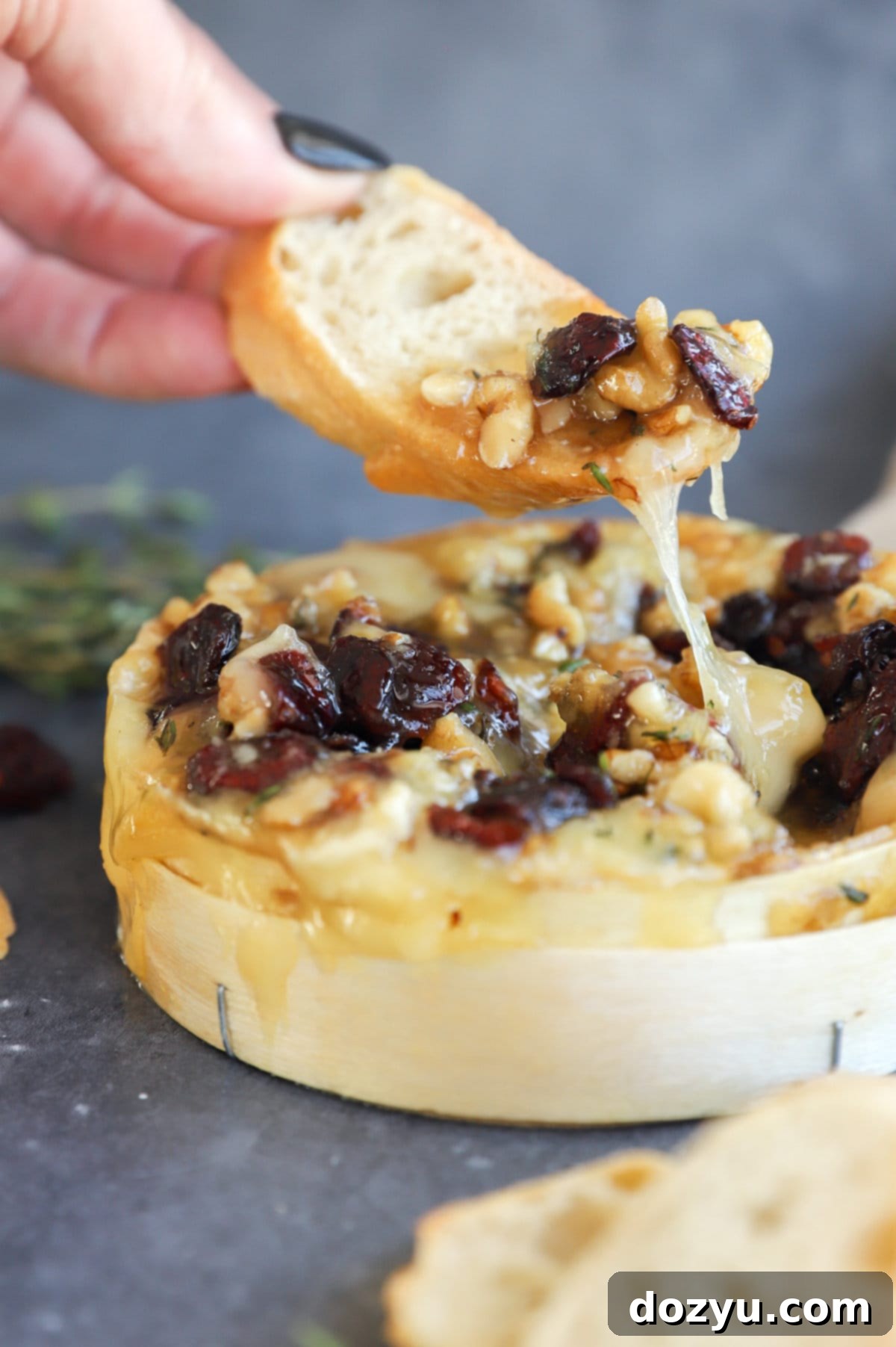 Baked Camembert with Cranberries and Walnuts