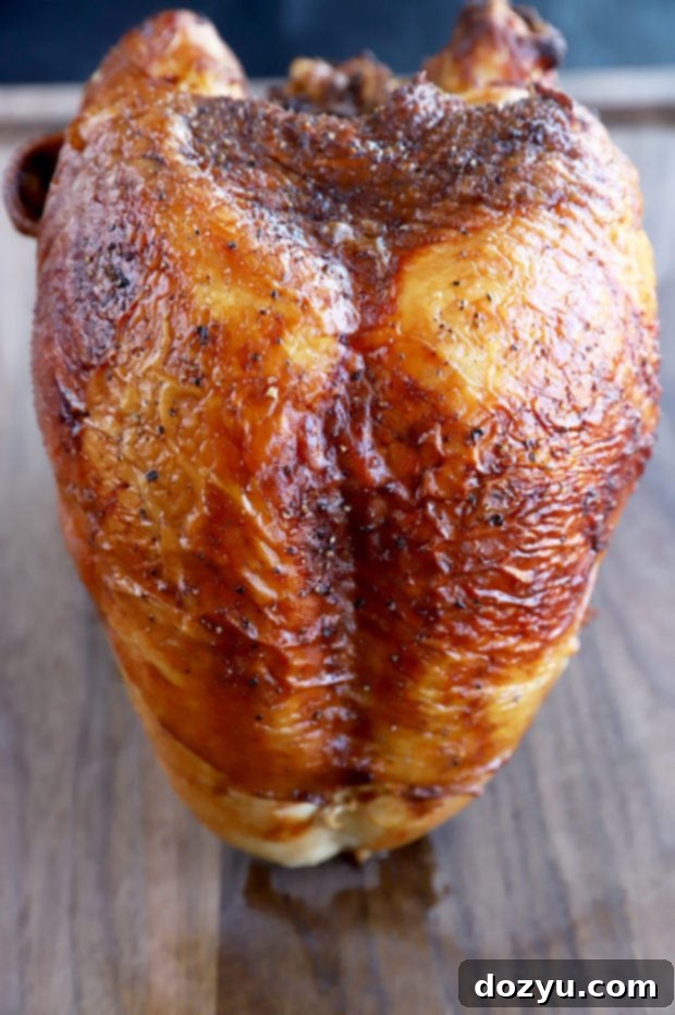 Whole beer brined turkey breast photo, showcasing its pre-roasted appearance.