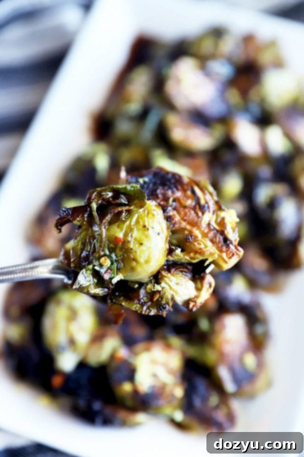 Spooning out brussels sprouts photo