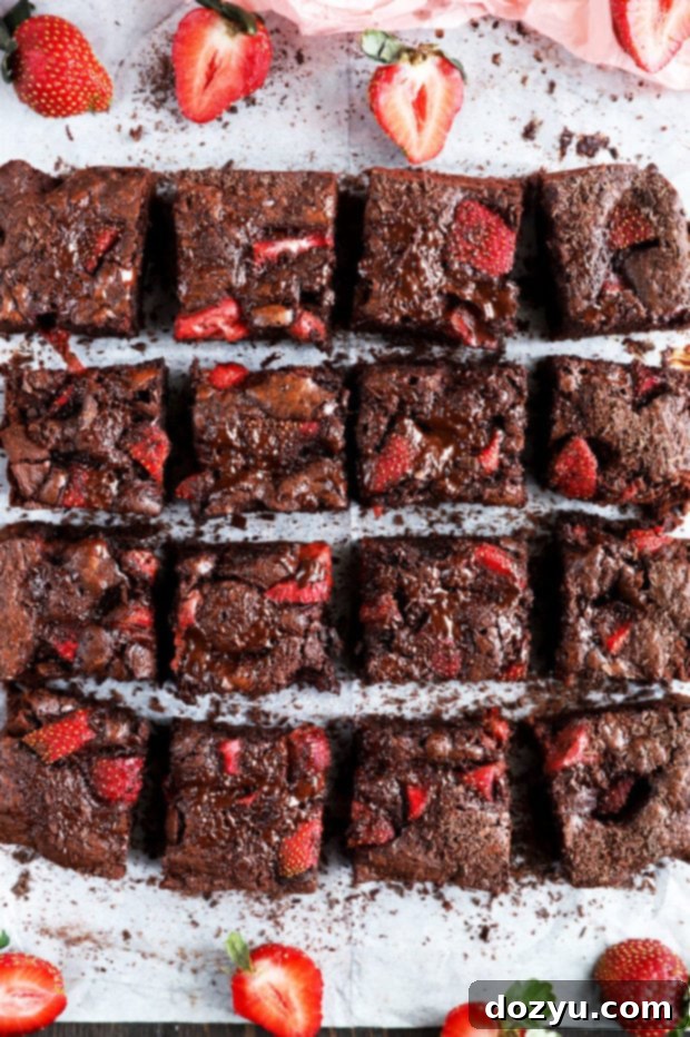 Velvet Berry Chocolate Brownies 3 Overhead photo of chocolate strawberry brownies, beautifully arranged and ready to be served