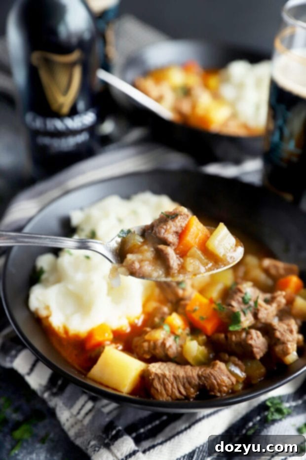 Spoonful of Instant Pot Irish beef stew photo