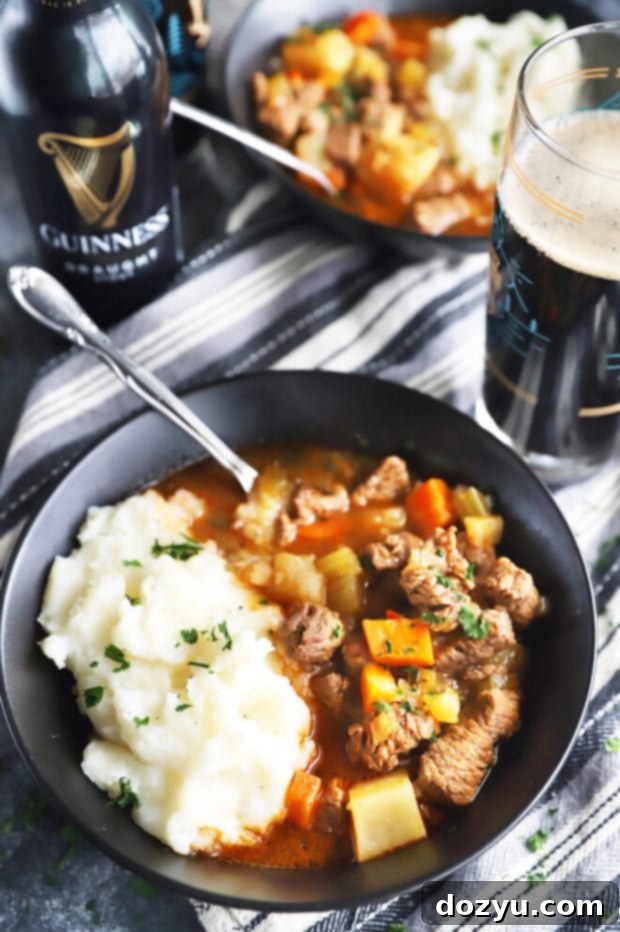 Instant Pot Irish beef stew photo