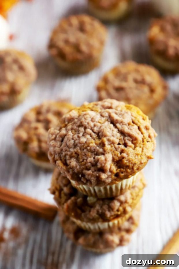 Overhead photo of delicious pumpkin cream cheese muffins with streusel topping