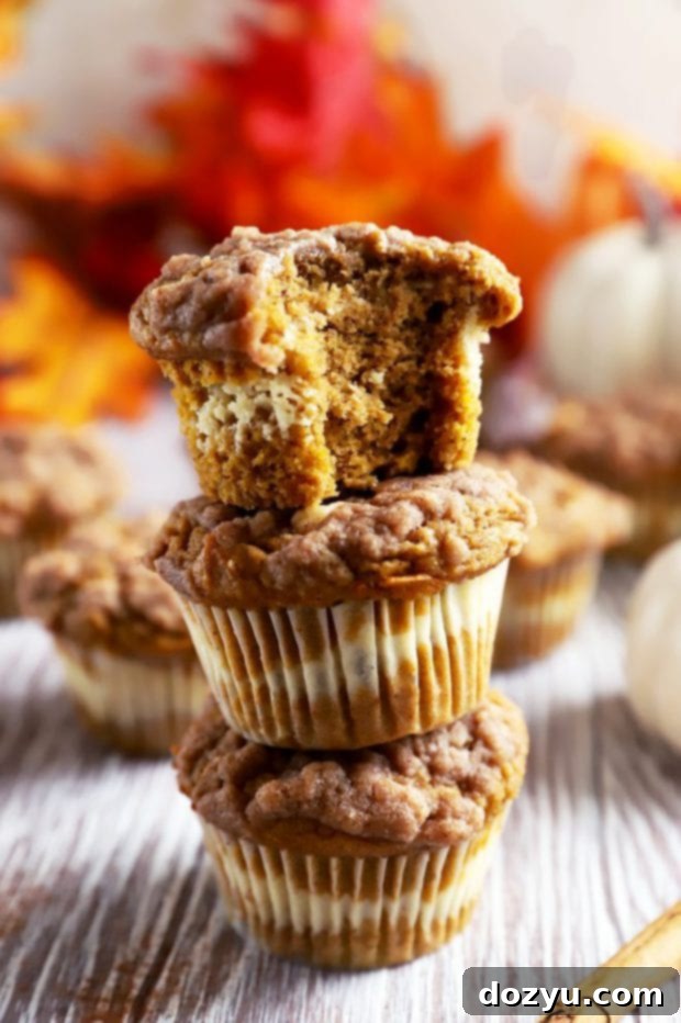 Close up image of a fall pumpkin muffin with a bite taken out, showing the cream cheese swirl