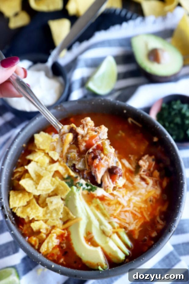 Spoon of tortilla soup picture