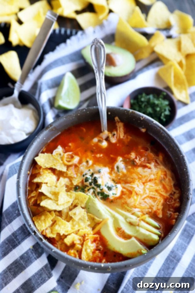 Bowl of tortilla soup picture