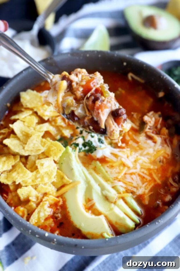 Spoon photo lifting out Instant Pot tortilla soup