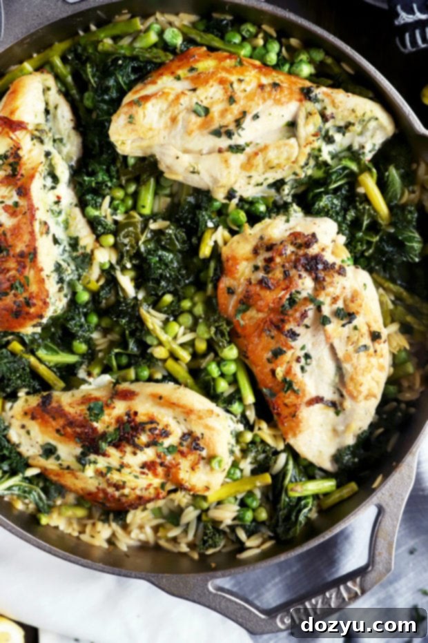 One-Pan Lemon Goat Cheese Stuffed Chicken with Spring Orzo 4 Chicken in a skillet with orzo photo