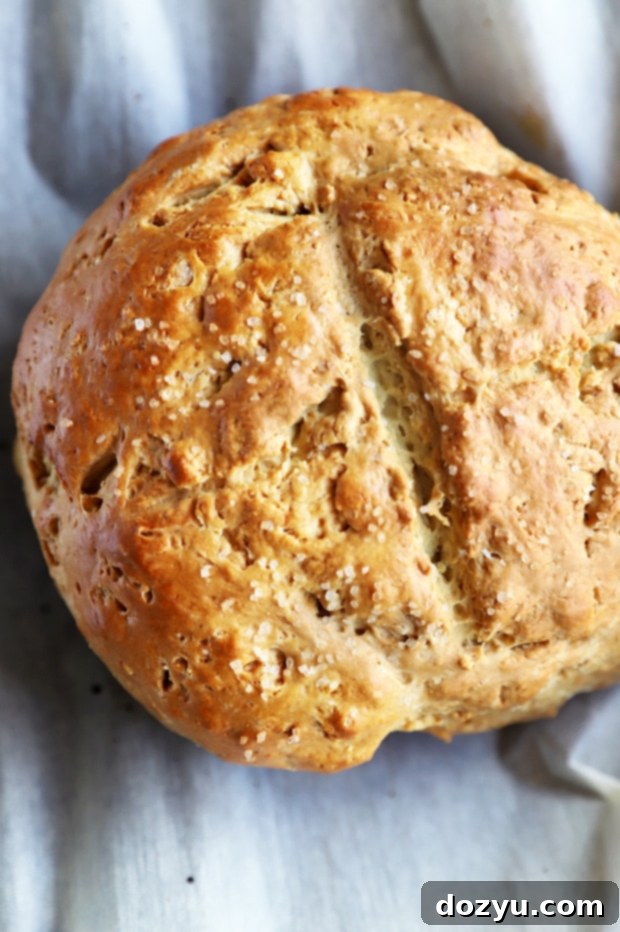 Overhead photo no yeast white bread loaf