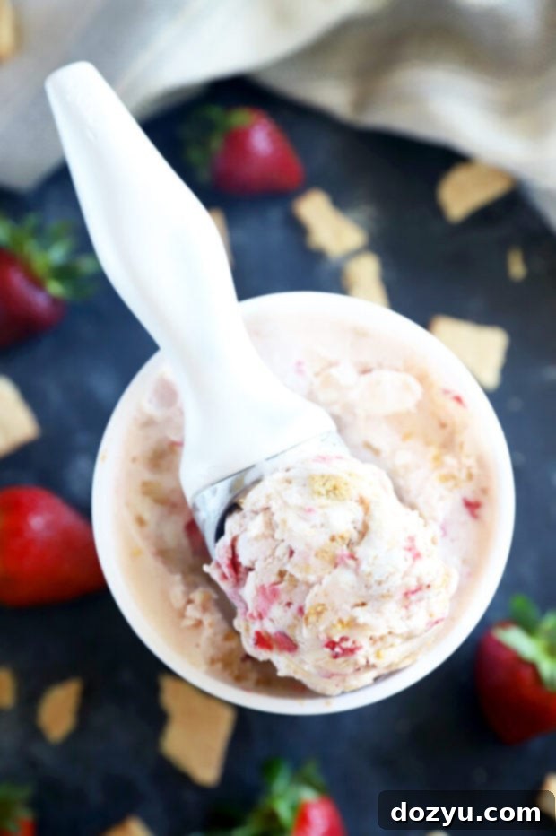 An overhead shot of Strawberry Cheesecake Ice Cream in a bowl, showing the beautiful swirls of strawberry and scattered graham cracker pieces on its surface.