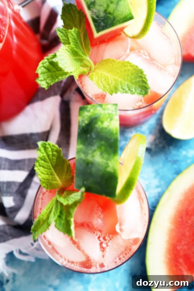 Watermelon Lime Agua Fresca overhead photo