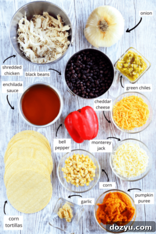 Ingredients photo for spicy black bean chicken pumpkin enchilada bake