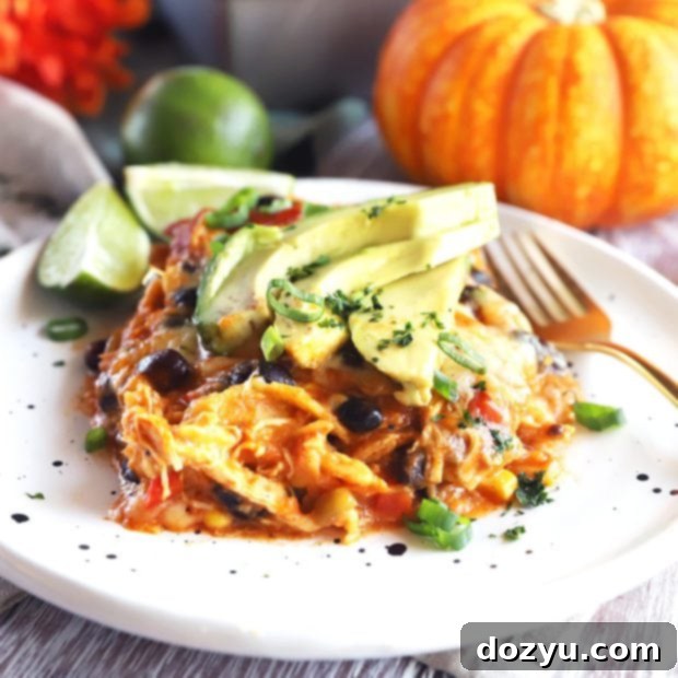 Pumpkin enchilada bake thumbnail image
