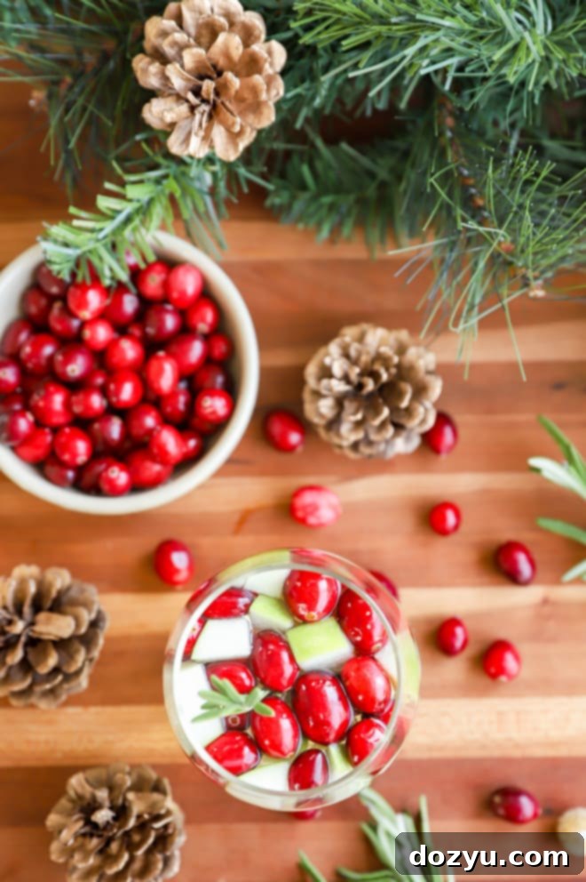 A holiday cocktail in a glass with fresh cranberries and apple slices, perfectly chilled.