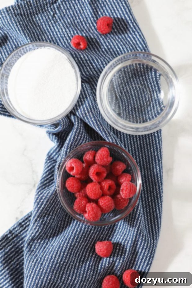 Brunch Bliss Raspberry Mimosa 5 Overhead photo of fresh raspberries, sugar, and water, ingredients for simple syrup